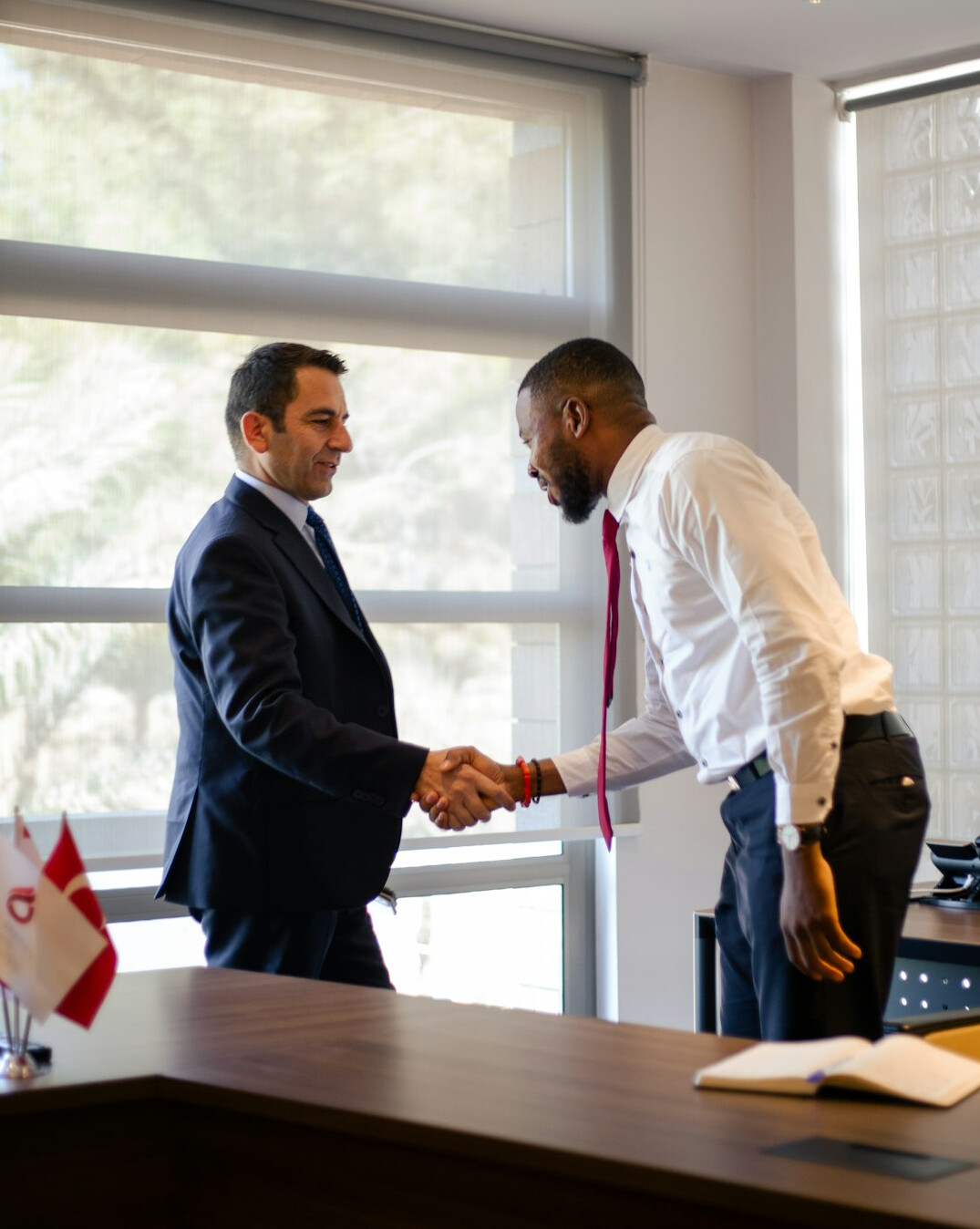 professionals shaking hands in office